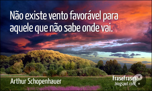 Não existe vento favorável para aquele que não sabe onde vai - Arthur Schopenhauer